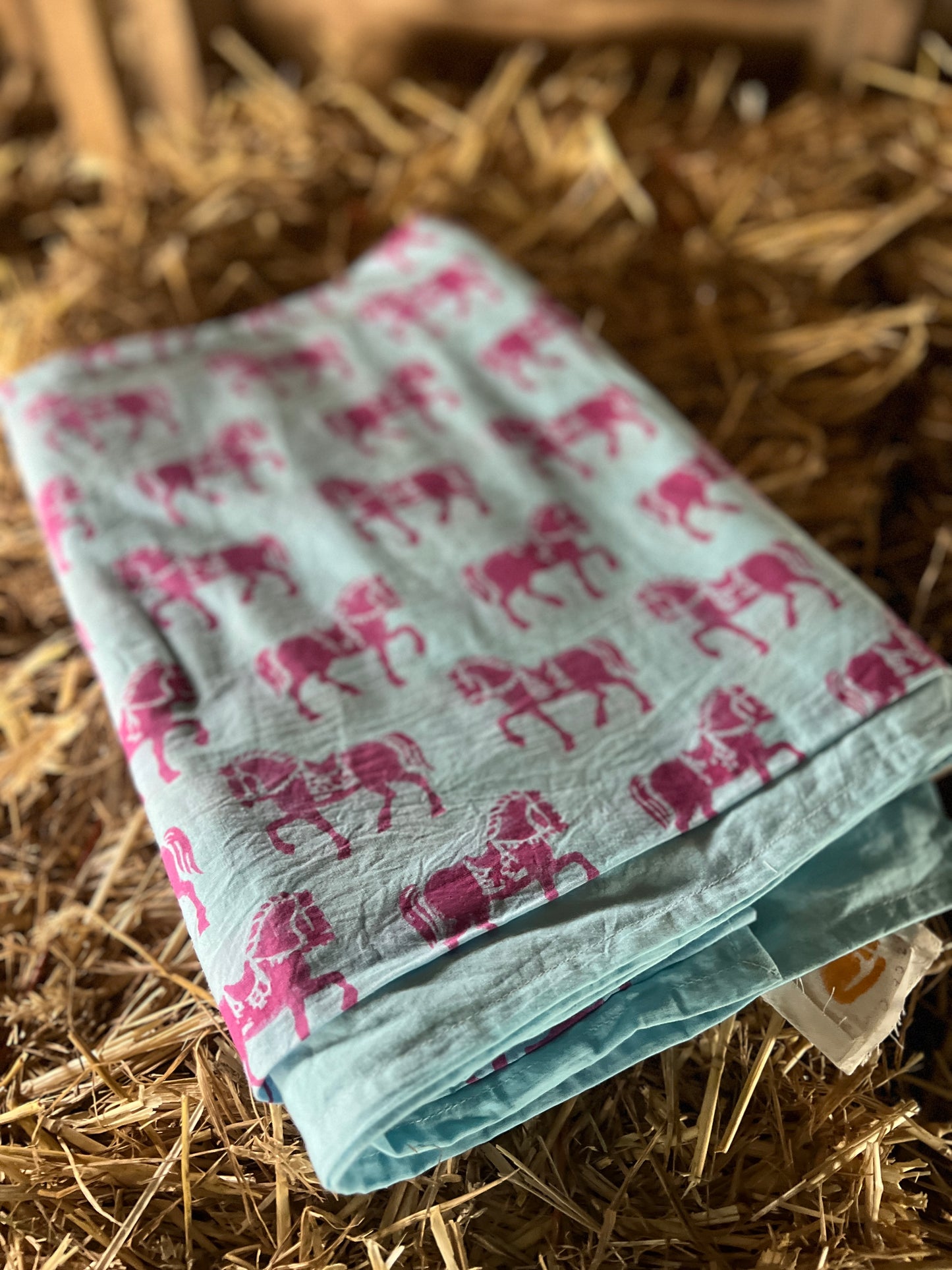 Trotting Horse - Pink and Blue